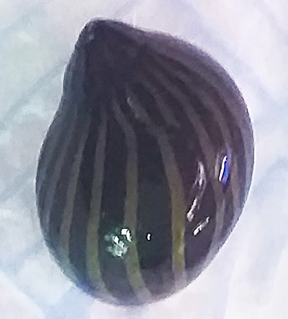 Foto 2 di 2