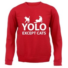 YOLO Except Cats - Adult Hoodie / Sweater - Cat Funny Love Pet Pets Lady Crazy
