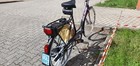 Bild 3 von 11
