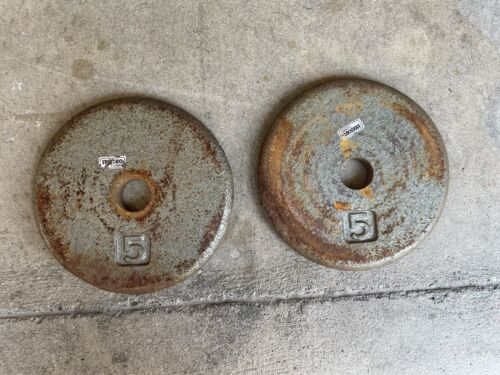 Pair 5 Lb Ivanko Weight Plates - Standard Size Barbell - home gym Pancake 10 Lbs