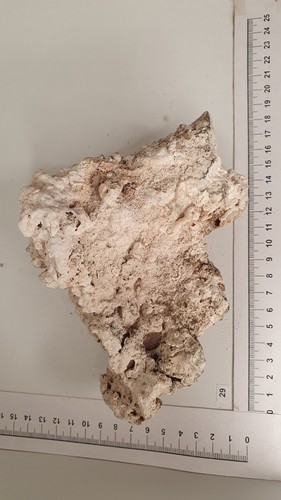 Nr.29 Nano Aquarium echtes Riffgestein Felsen Stein Einzelstück *RAR Meerwasser* - Bild 3 von 4