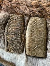 MERINO RAM HORN KNIFE HANDLE MATERIAL  XL BLANK SCALES 5” x 2.25” x 1/4” (MH601)