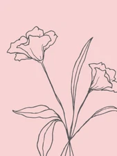 Blush Pink Plant Flower Grey Wall Art Print Framed 12x16