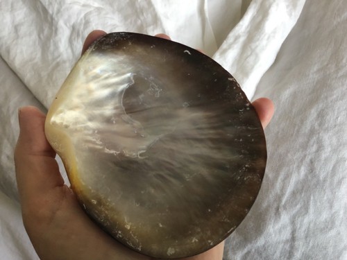 Coquille en nacre huitre perlière 17x17 cm environ - Imagen 5 de 5