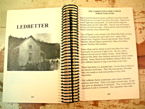 RECIPES, REMEDIES & RUMORS Vol 1 Cades Cove Preservation Assn Cookbook Tennessee - Picture 12 of 24