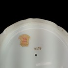 Picture 13 of 14
