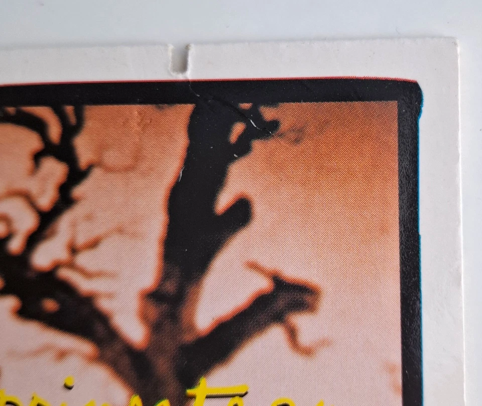 Bruce Springsteen – Secret Garden CD Single (1995) Cardsleeve 2 Tracks Maxi CD - Bild 4 von 4