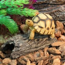 Reptile Hide Cave Decor Tree Shell Aquarium Turtle Hole Basking Platform