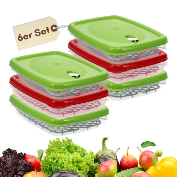 6Er Set Frischhaltedosen Mit Deckel Abtropfgitter Luftdicht Gefrierdosen 2,5 L-image