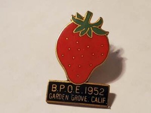 Bpoe Elks Pin Garden Grove Ca Lodge 1952 Ebay