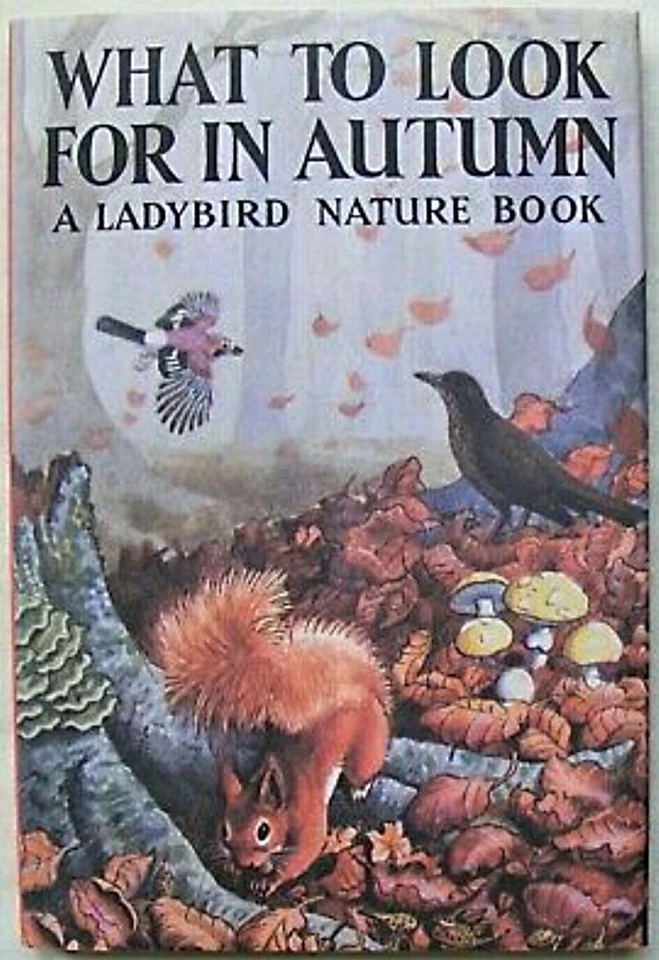 Ladybird Book – What to look for in Autumn DJ – 536 – 2015 Edition  Mint A1 Copy - Image 3 of 3