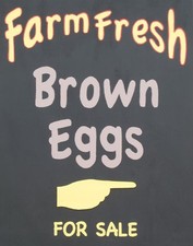 TIN SIGN "Farm Fresh Eggs Brown" Food Rustic Wall Decor