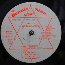 VINYL Sanchez - Wild Sanchez