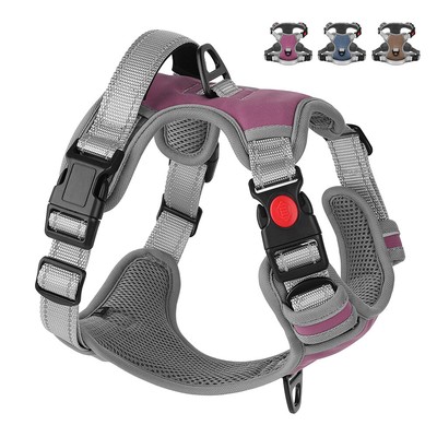 No-Pull Dog Harness & Leash Set - Reflective, Adjustable Mesh Vest For Small & Medium Dogs, Silver Glitter Design
