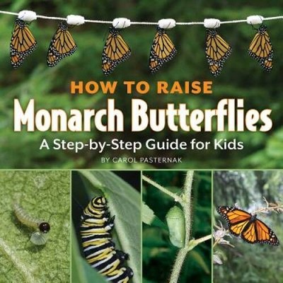 How to Raise Monarch Butterflies: A Step-by-Step Guide for Kids (How It - GOOD