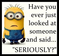Have You Ever Just Looked At Someone And Said Seriously? Refrigerator MAGNET