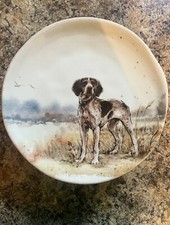 Placa puntera alemana de pelo corto Southern Homes Southern Tails