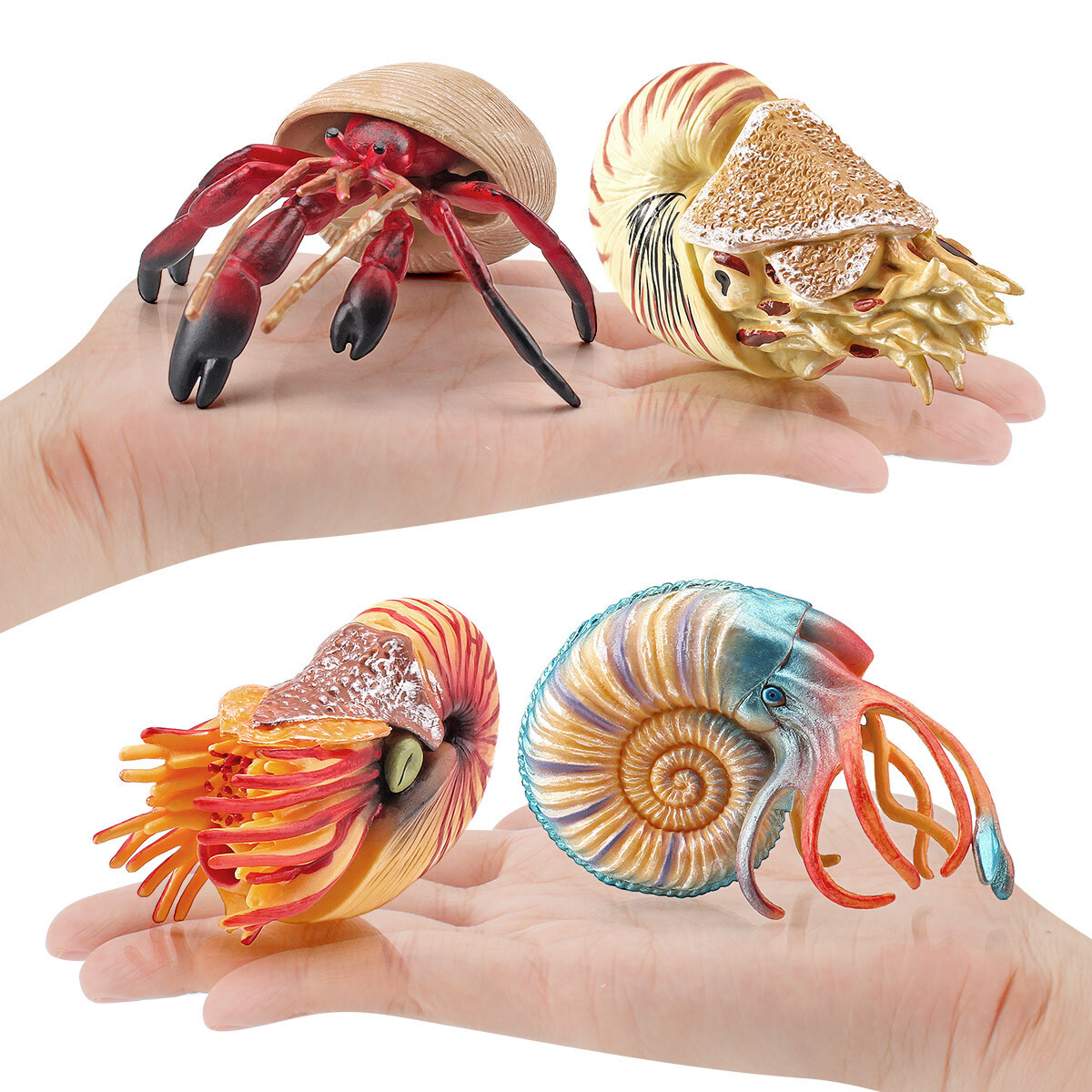 Nautilus Figure Ancient Creatures Collector Fish Tank Scene Decor