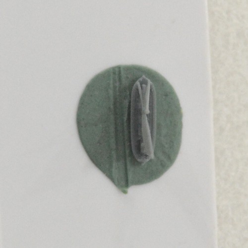 1/1250 Gunboat - Picture 4 of 6