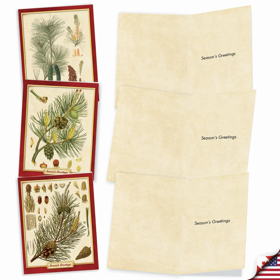 10 различных рождественских открыток с конвертами — ТОСКА для Рождества M10011XS - Изображение 3 из 4