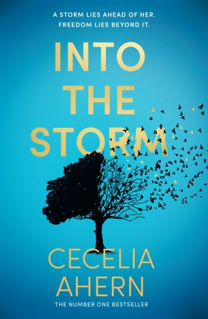 Into the Storm by Cecelia Ahern PAPERBACK 9780008195038