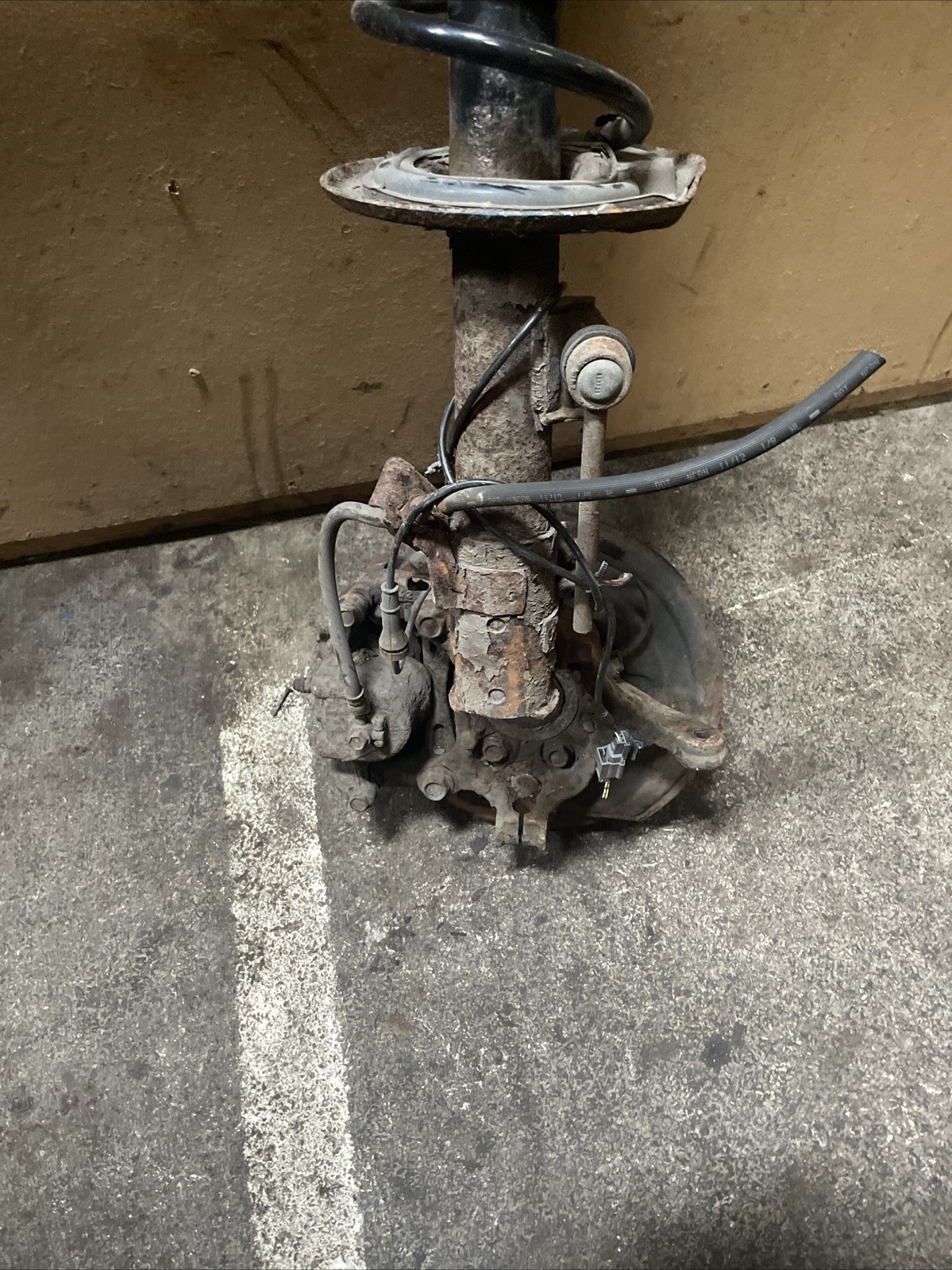 Picture 6 of 7