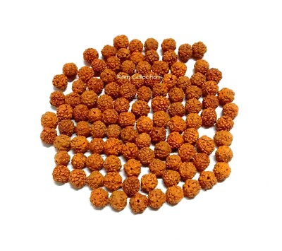 10 mm 109 Stck. 5 Mukhi Rudraksha Perlen Panchmukhi Lose Gebet Gebohrt Perlen