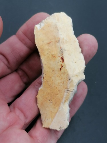 France Upper Paleolithic prob. Aurignacian culture Blade / Scraper on blade - Picture 4 of 15