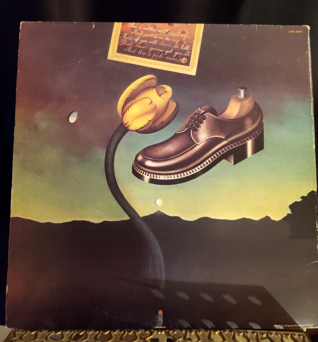 Nick Drake 