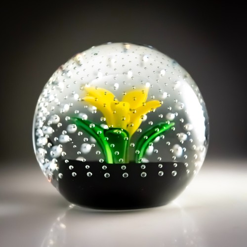 Caithness Glas Lampwork Briefbeschwerer Blume im Regen Bullicante Floral Bubble - Bild 6 von 13