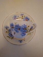 Fine Bone China Tea Cup and Saucer, Adderly B...