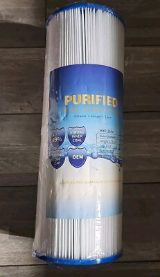 Purified Pool & Spa Filter HYP-25IN  