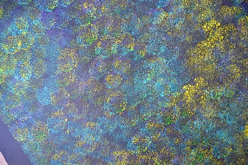 LANITA NUMINA 152 x 100 cm Original Painting - Aussiepaintings Aboriginal Art - Foto 6 di 7