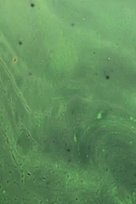 fine art photography,acrylic,abstract,prints.