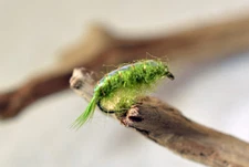 12 Flies Scuds Nymph Fly Fishing - Olive - Mustad Signature Hooks