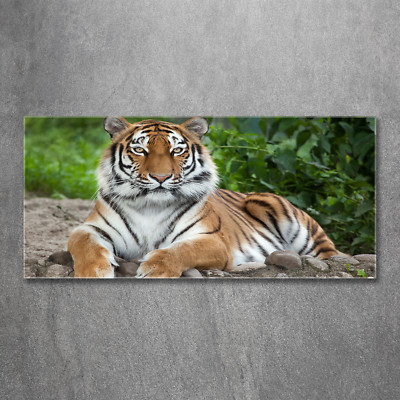 Glas-Bild Wandbilder Druck auf Glas 120x60 Deko Tiere Sibirischer Tiger