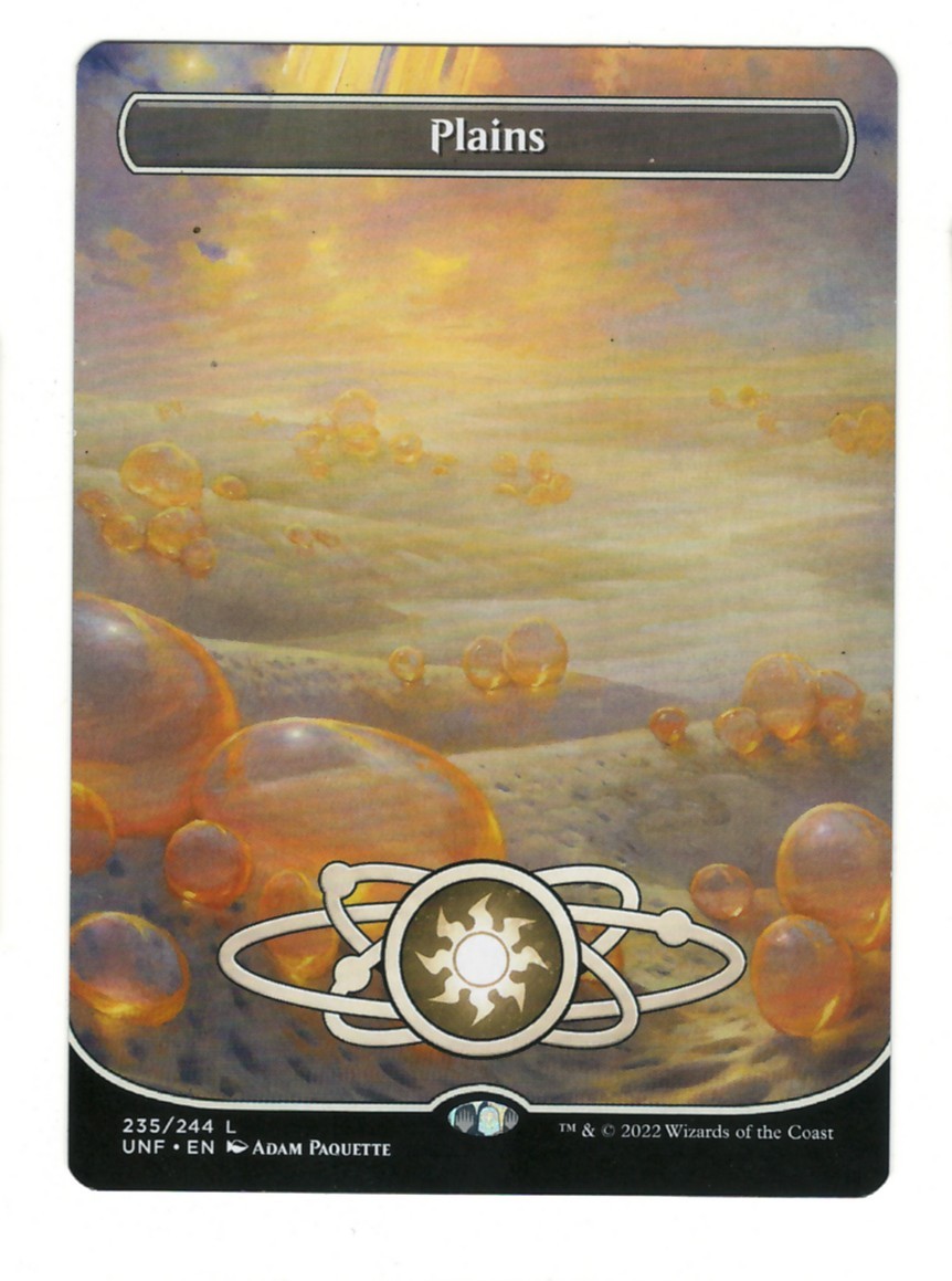 Plains Borderless 235 Land Unfinity Magic: The Gathering Near Mint