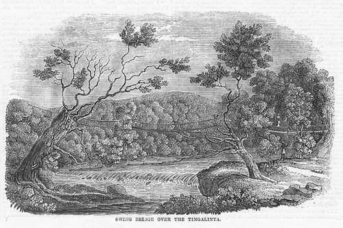 GUINEA Swing Bridge Over Tingalinta at Rio Nunez - Antique Print 1847