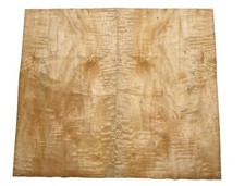 Muschel Ahorn Furnier Quilted Maple 75x43-45cm 2 Blätter