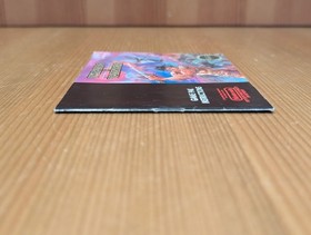 Wizards & Warriors libretto istruzioni solo manuale (Nintendo, NES) - ottime condizioni