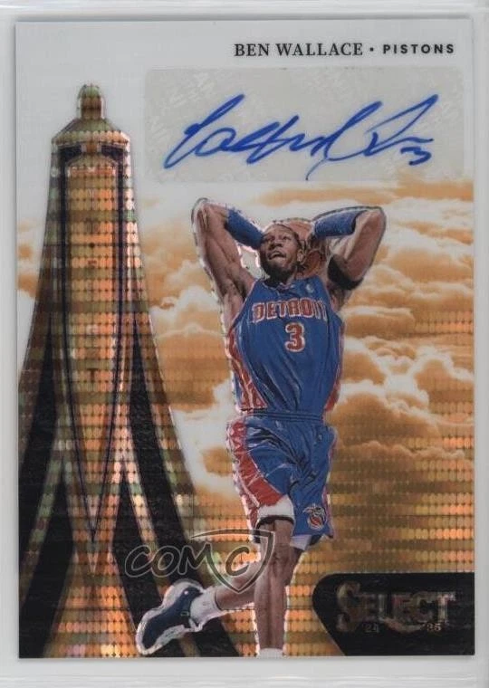 Ben Wallace Basketball Autographed Sports Trading Cards