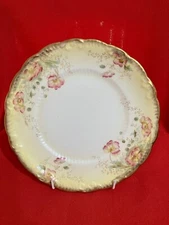 c 1892 Redfern and Drakeford hand painted serving plate, pattern #2222