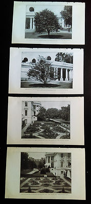 1904 4 Bookplate Photos Colonial Gardens White House Mrs. Roosevelt Tree