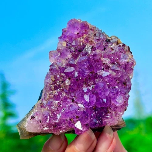 280G Natural Amethyst geode quartz cluster crystal specimen Healing