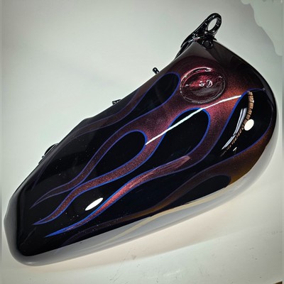  Harley Davidson OEM Split Fuel Tank Right Display Art