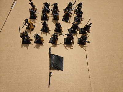 20 Dark Elf Corsairs Warhammer Fantasy Old World Games Workshop Part painted!