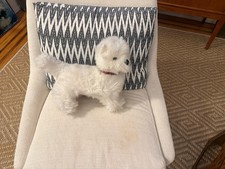 Vintage Steiff Whitey White Stuffed Dog 10”