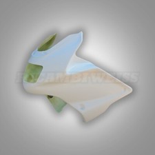 LR245 Yamaha XJ 900 S  Diversion Moto Tete Fourche Route Fibre de Verre en Poly