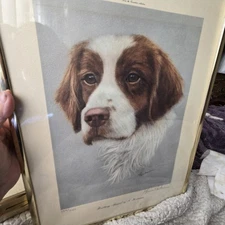 Brittany Spaniel Dog Print Signed By Glenna Hartmann 137/400