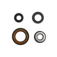 Serie Parolio Motor Yamaha Tt Und 600` 94-00 FüR Yamaha Tt - R 600 Und 2004 4T